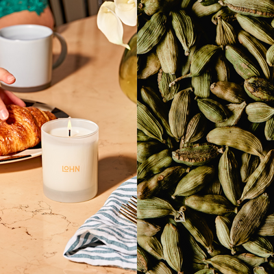 What is cardamom?
